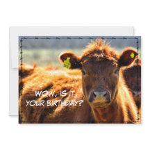 Feliz Aniversário Feliz Conversações de Fazenda