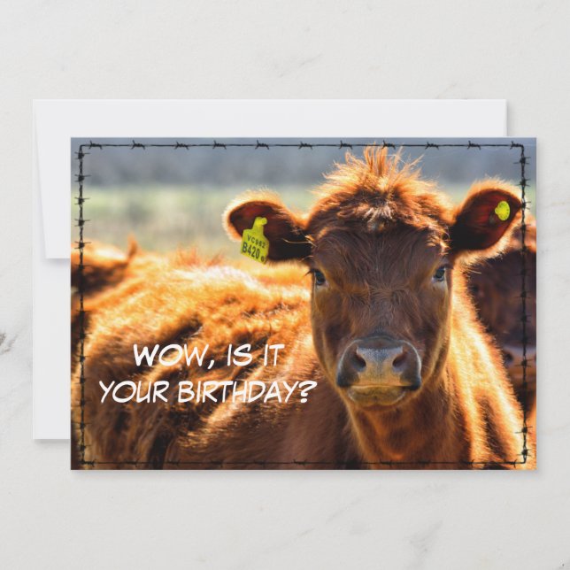 Cartão De Festividades Feliz Aniversário Feliz Conversações de Fazenda (Frente)