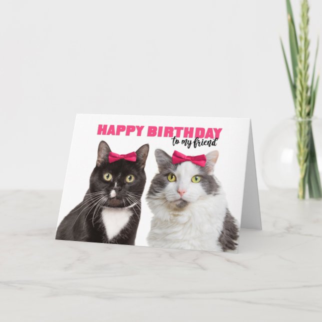 Cartão De Festividades Feliz Aniversário Fêmea Amiga Gatos Cute em Arco R (Frente)