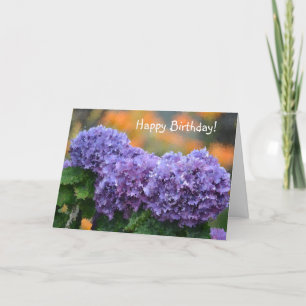 Cartão De Festividades Feliz aniversário Impressionista Roxo Hydrangea