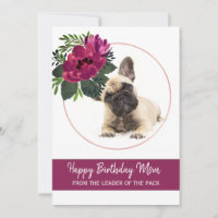 Feliz Aniversário Mamãe Foto de Bulldog Francês Sa