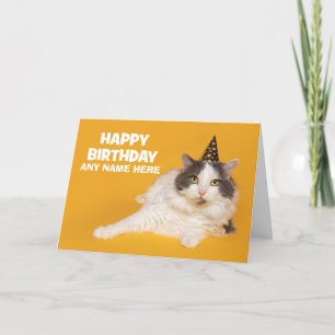 Cartão De Festividades Feliz Aniversário Nome Personalizado Gato Bonito e