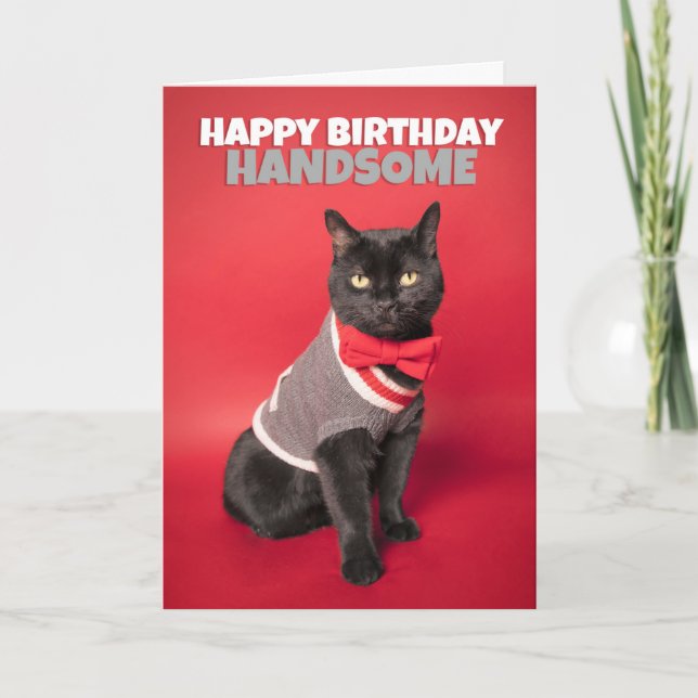 Cartão De Festividades Feliz Aniversário Para Ele Bonito Humor Gato Bonit (Frente)