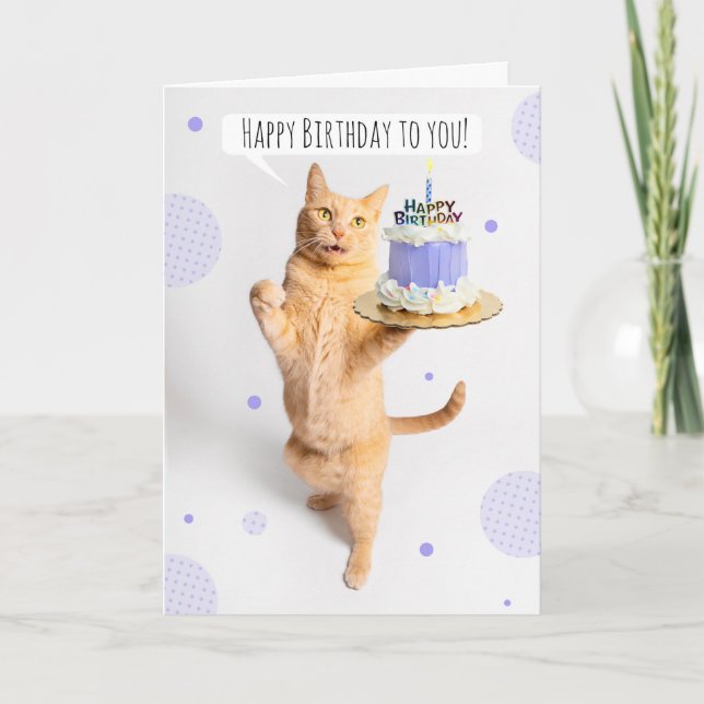 Cartão De Festividades Feliz Aniversário Para Qualquer Gato De Tabby Lara (Frente)