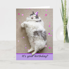 Cartão De Festividades Feliz Aniversário Para Qualquer Gato Gordo Para Bo