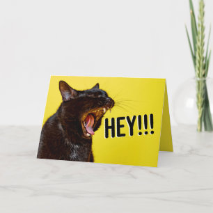 Cartão De Festividades Feliz Aniversário Para Quem Grita Humor Gato