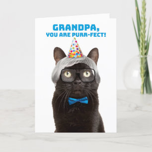 Cartão De Festividades Feliz Aniversário Vovô Velho Humor Gato
