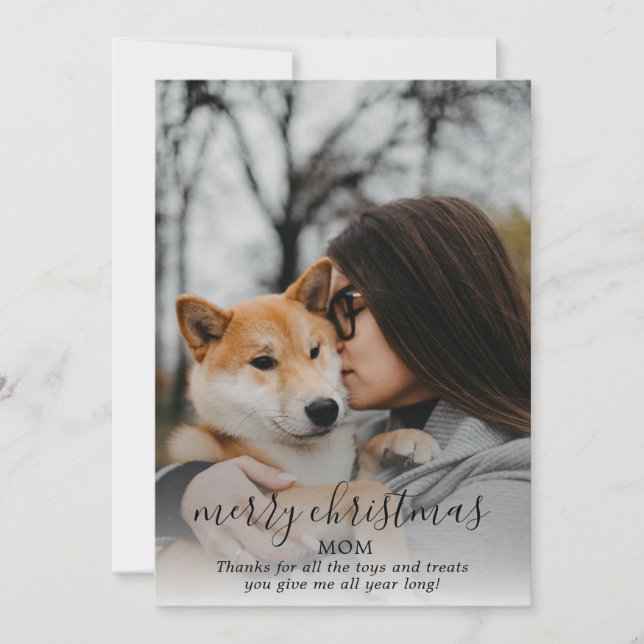 Cartão De Festividades Feliz Cachorro De Natal Foto Do Cachorro (Frente)
