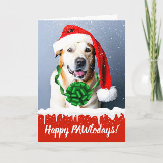 Cartão De Festividades Feliz Cão de Natal de Pawlodays na neve
