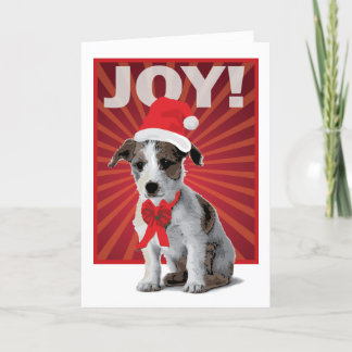 Cartão De Festividades Feliz Cão Feriado - Papais noeis Jack Russell