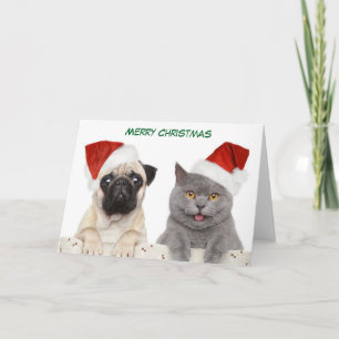 Cartão De Festividades Feliz Cãozinho de Natal e Kittten