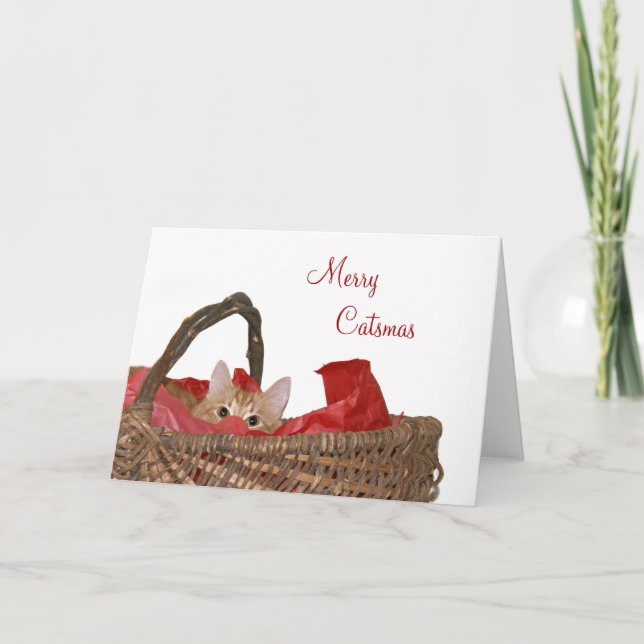 Cartão De Festividades Feliz Catsmas (Frente)