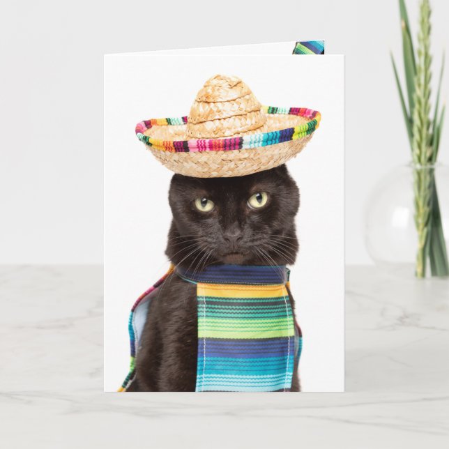 Cartão De Festividades Feliz Cinco de Mayo Cat em Sombrerro Humor (Frente)