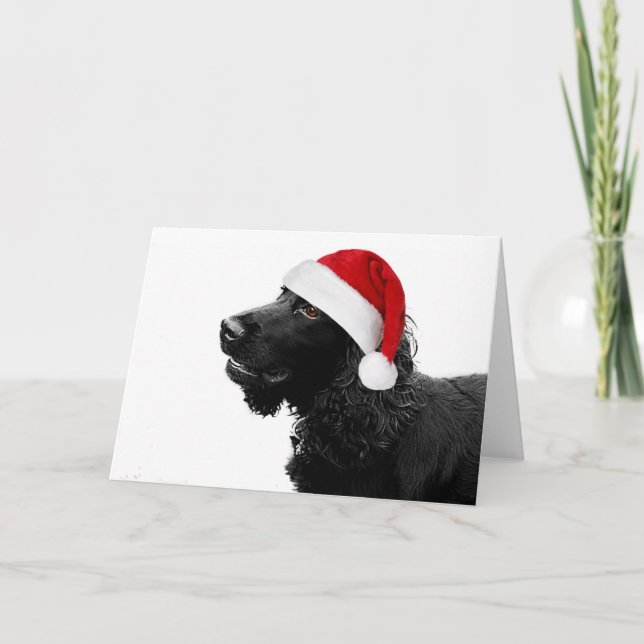 Cartão De Festividades Feliz Cocker de Natal (Frente)