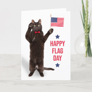 Cartão De Festividades Feliz Dia da Bandeira Engraçado Gato Pego Bandeir