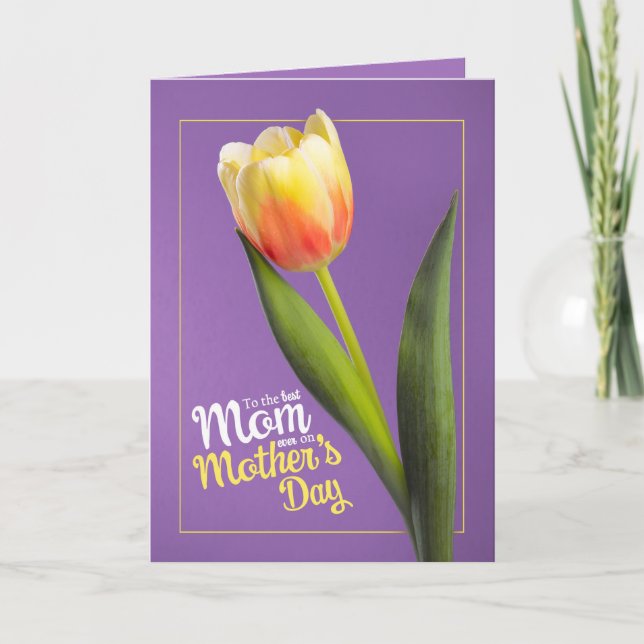 Cartão De Festividades Feliz Dia das Mães Belo Tulipa Amarelo no Roxo (Frente)