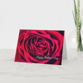 Cartão De Festividades Feliz Dia das Mães Rosa Linda Close Up