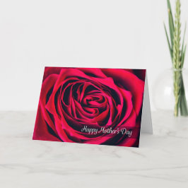 Cartão De Festividades Feliz Dia das Mães Rosa Linda Close Up
