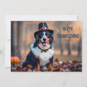 Cartão De Festividades Feliz Dia de Ação de Graças Bernese Mountain Dog P