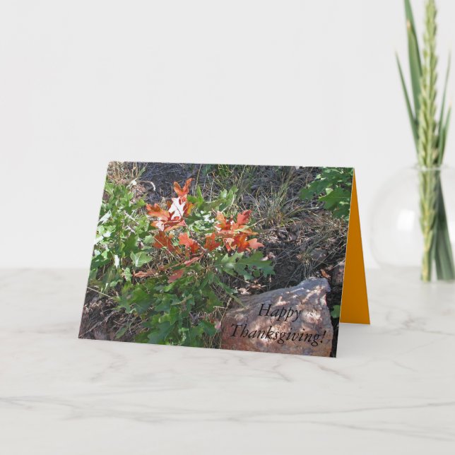 Cartão De Festividades Feliz Dia de Ação de Graças! por Janz (Frente)