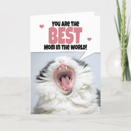 Cartão De Festividades Feliz Dia de as mães Gato Gritando Humor