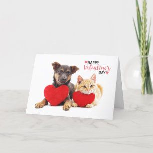 Cartão De Festividades Feliz Dia de os namorados Cão e Gato