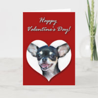 Feliz dia de os namorados Chihuahua