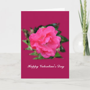Cartão De Festividades feliz dia de os namorados. Foto rosa rosa rosa ros