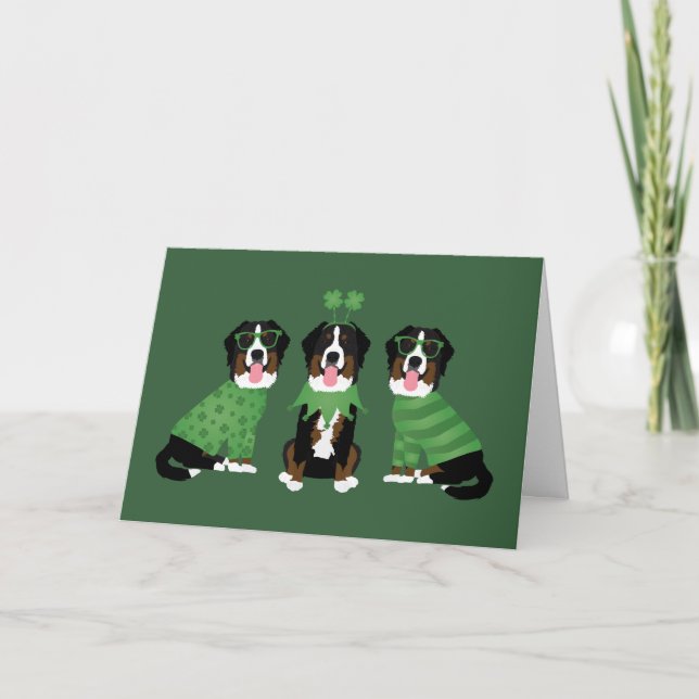 Cartão De Festividades Feliz Dia de São Patrício Bernese Mountain Dogs (Frente)