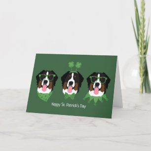 Cartão De Festividades Feliz Dia de São Patrício Bernese Mountain Dogs