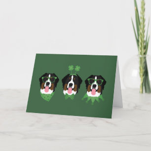 Cartão De Festividades Feliz Dia de São Patrício Bernese Mountain Dogs