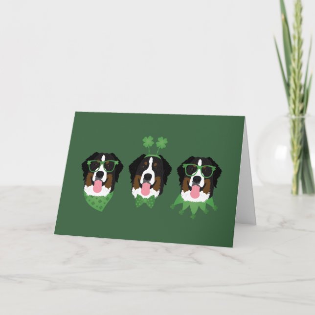 Cartão De Festividades Feliz Dia de São Patrício Bernese Mountain Dogs (Frente)