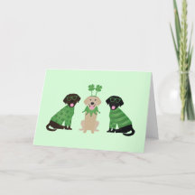 Feliz Dia de São Patrício Cães Labrador Retriever