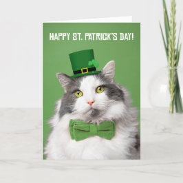 Cartão De Festividades Feliz Dia de São Patrício Gatinho Fofo de Verde