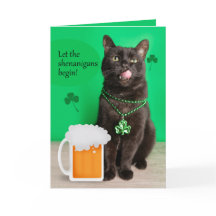 Feliz Dia de São Patrício Gato Divertido Com Cerve