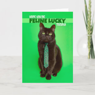 Cartão De Festividades Feliz Dia de São Patrício Gato Divertido em Trevo