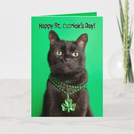 Cartão De Festividades Feliz Dia de São Patrício Gato no Trevo