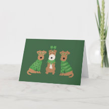 Feliz Dia de São Patrício para os Cães Welsh Wire 
