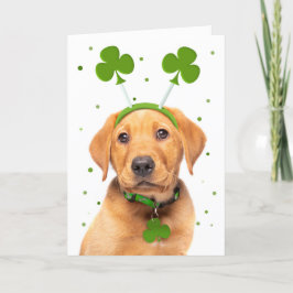Cartão De Festividades Feliz Dia de São Patrício para qualquer cachorro c