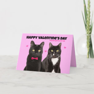 Cartão De Festividades Feliz Dia dos Namorados De Nós Dois Gatinhos Fofos