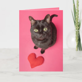 Cartão De Festividades Feliz Dia dos Namorados Engraçado Gato Com Coração