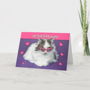 Cartão De Festividades Feliz Dia dos Namorados Gatinho Fofo com Óculos de