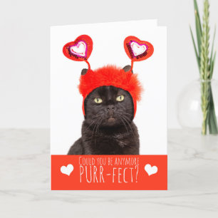 Cartão De Festividades Feliz Dia dos Namorados Gatinho Fofo com Tiarinha