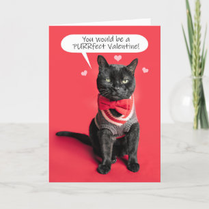 Cartão De Festividades Feliz Dia dos Namorados Gato Fofo Vestido Com Humo