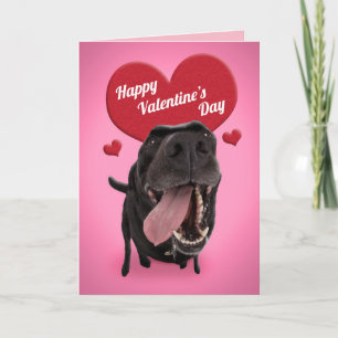 Cartão De Festividades Feliz Dia dos Namorados Humor de Cachorro Fofo