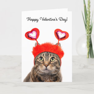 Cartão De Festividades Feliz Dia dos Namorados Para Qualquer Gato Tabby