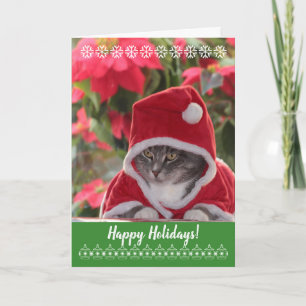 Cartão De Festividades Feliz feriado! purr... do gato Papai noel.