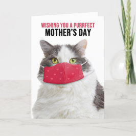 Cartão De Festividades Feliz Gato Engraçado de Dia de as mães na Máscara 