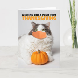 Cartão De Festividades Feliz Gato Gatinho Gatinho e Bonito de Ação de Gra