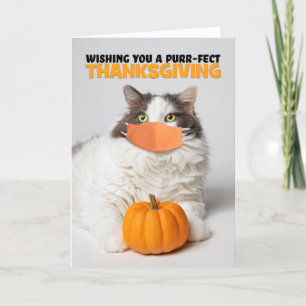 Cartão De Festividades Feliz Gato Gatinho Gatinho e Bonito de Ação de Gra